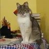 Отзыв от Полина Казанцева